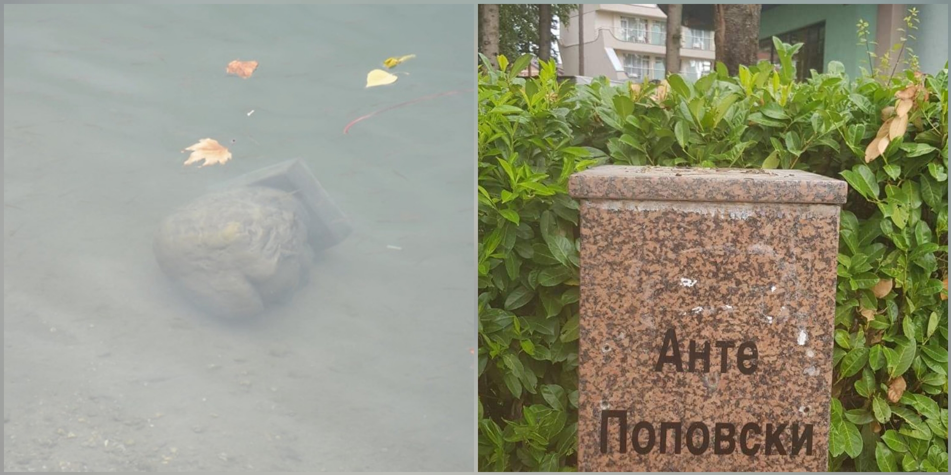 ФРЛЕНА ВО ЕЗЕРО БИСТАТА на Анте Поповски и тоа на 18 ГОДИШНИНА ОД СМРТТА, оштетена е и таа на Славко Јаневски