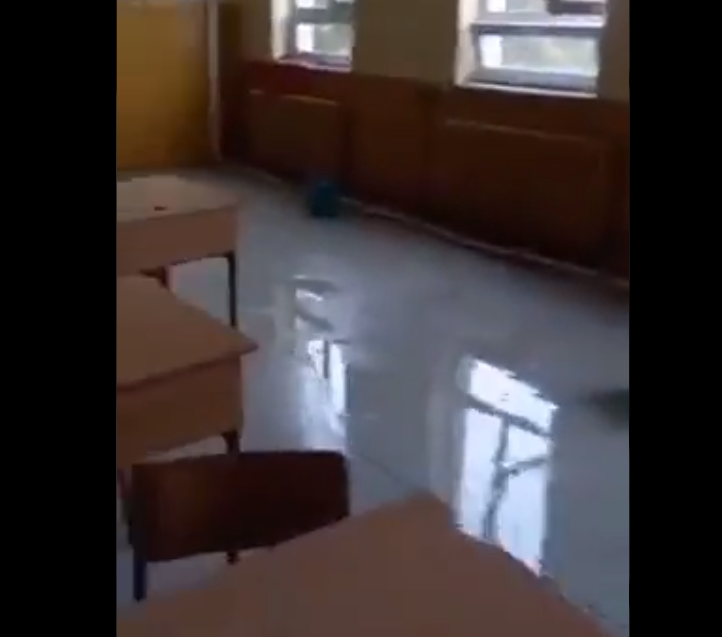 Ало Царовска ти КАПЕ ДИГИТАЛНОВО ОБРАЗОВАНИЕ! (Видео)