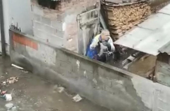 Да му умре кравата на комшијата! Срамно видео од соседството – КАКОВ НАРОД СМЕ?