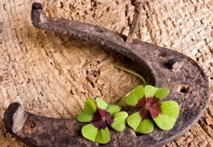 Дали се мие коса во вторник, КАДЕ СЕ ЧУВА ПОТКОВИЦА, КАКО СЕ ЧУВА ЛЕБОТ – Во што се верува народот