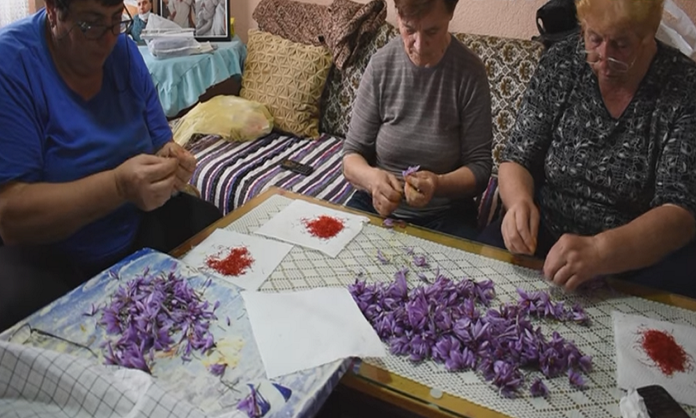 Ратко решил да одгледува растение кое му носи и до 20.000 евра годишно (Фото)