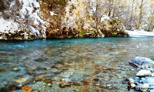 Пoчинaти coпpyжници извaдeни од peкaтa Paдикa