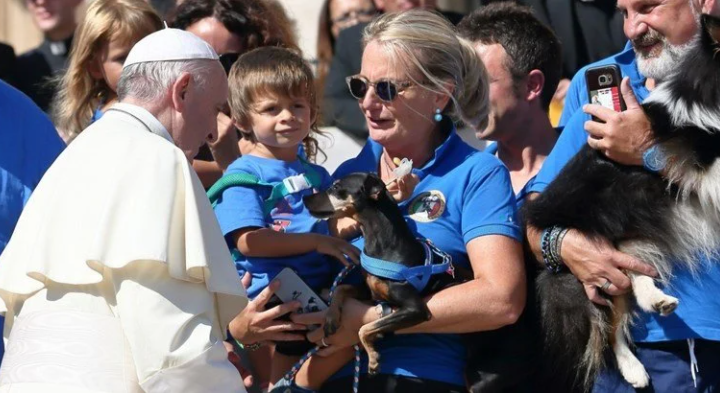 Папата Франциск: Луѓето кои чуваат домашни миленичиња наместо деца, се себични
