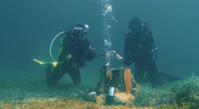 Во Охрид василичарски оган под вода (ВИДЕО)