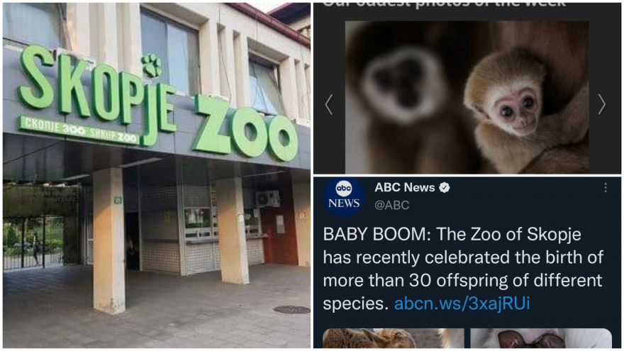 Скопската Зоолошка е главна вест во најпознатите светски медиуми