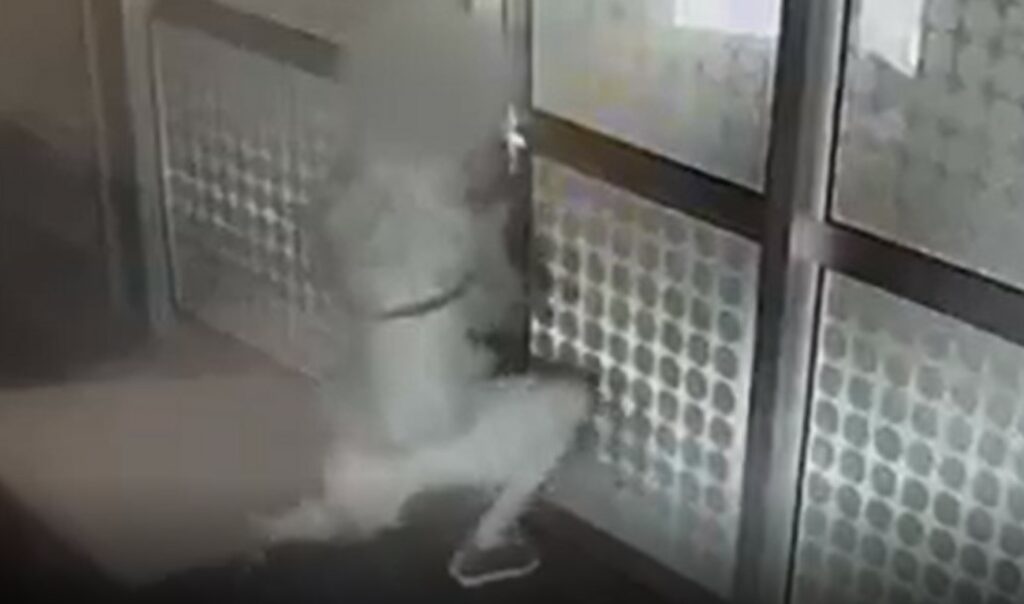 Ограбувач снимен од камерите на ЗОО Скопје (ВИДЕО)