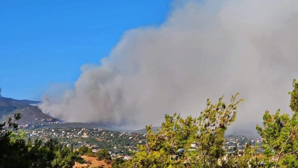 Не можел да гледа како домот му гори трет пат – Маж се самоуби откако пожарот кај Атина стигнал до неговиот дом
