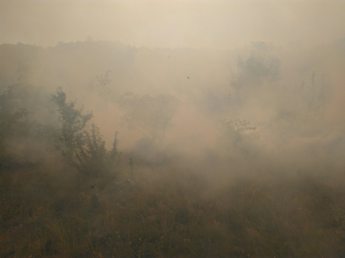 Армиски хеликоптер е упатен кон Берово