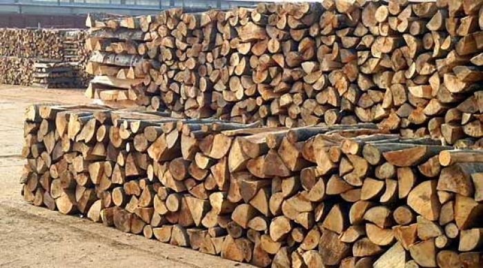 Огревното дрво поскапе за 20% – Македонски шуми го објавија новиот ценовник