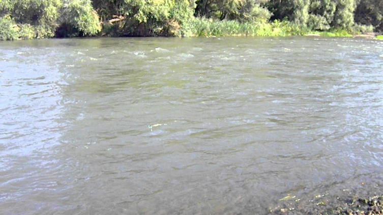 Градоначалникот на Велес спасил жена да скокне од мост