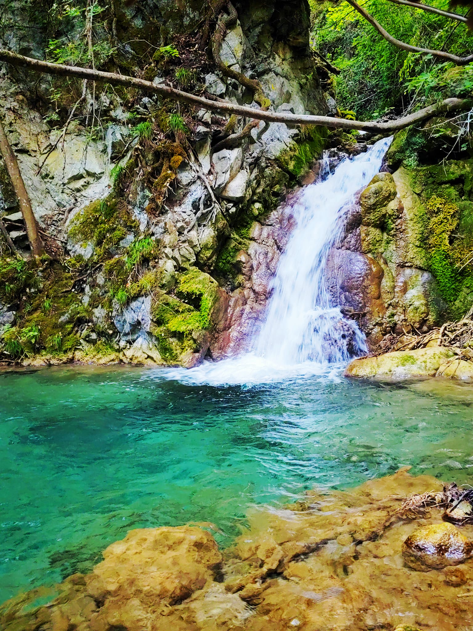 (Галерија): Сопружници од Гевгелија од дива депонија создадоа рај покрај водопадот Вера