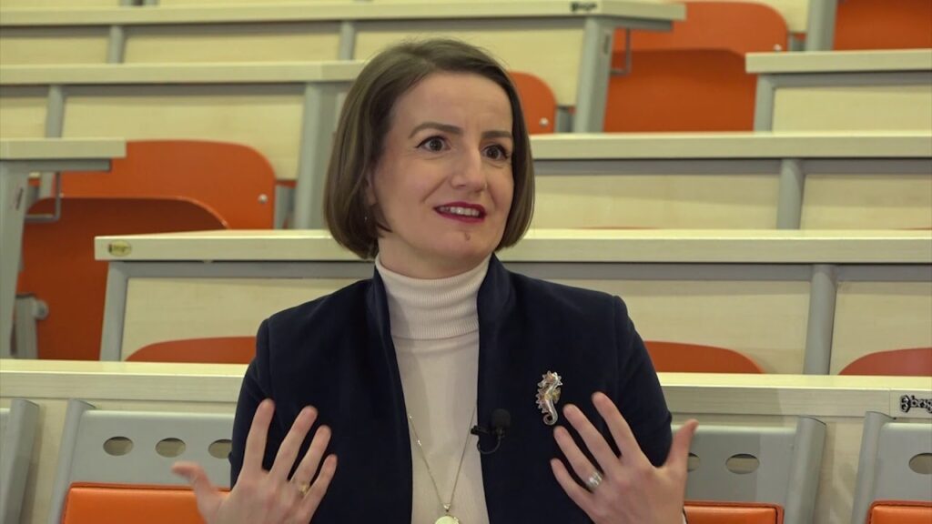 Арифи: Да ги сместиме Бугарите во Уставот и да продолжиме кон ЕУ, тие што се сега хистерични беа и во 2001-ва за Охридскиот договор