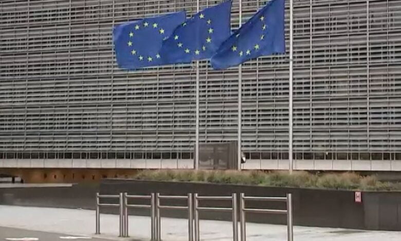 (Фото) СКАНДАЛ: Бугарските европратеници бараат бришење на македонскиот јазик во Стразбур