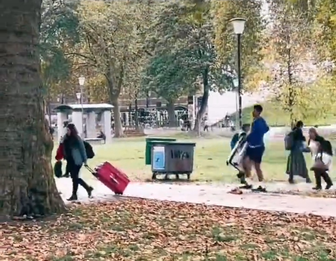 (ВИДЕО) Каков потег на Ноле во сред парк во Париз!