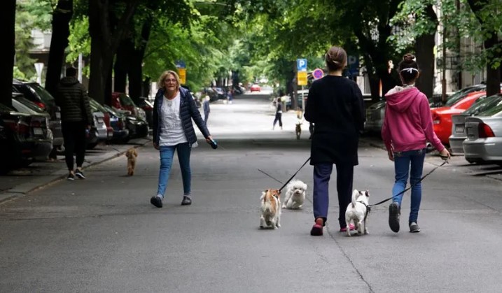 “Земи шетај дете, наместо куче!“ – Баба упати остра осуда спрема девојка, а од одговорот се сруши и почна да плаче