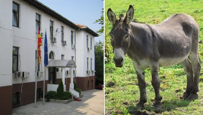 400 евра казна за кавадарчанецот кој имал секс со магаре и се пофалил на Фејсбук