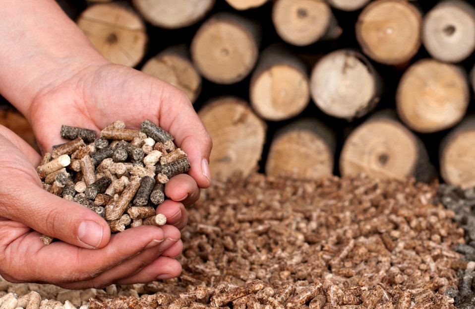 Од 1 декември ЌЕ НЕМА ПЕЛЕТИ – Диструбутерите се налутија поради ограничувањето на цените