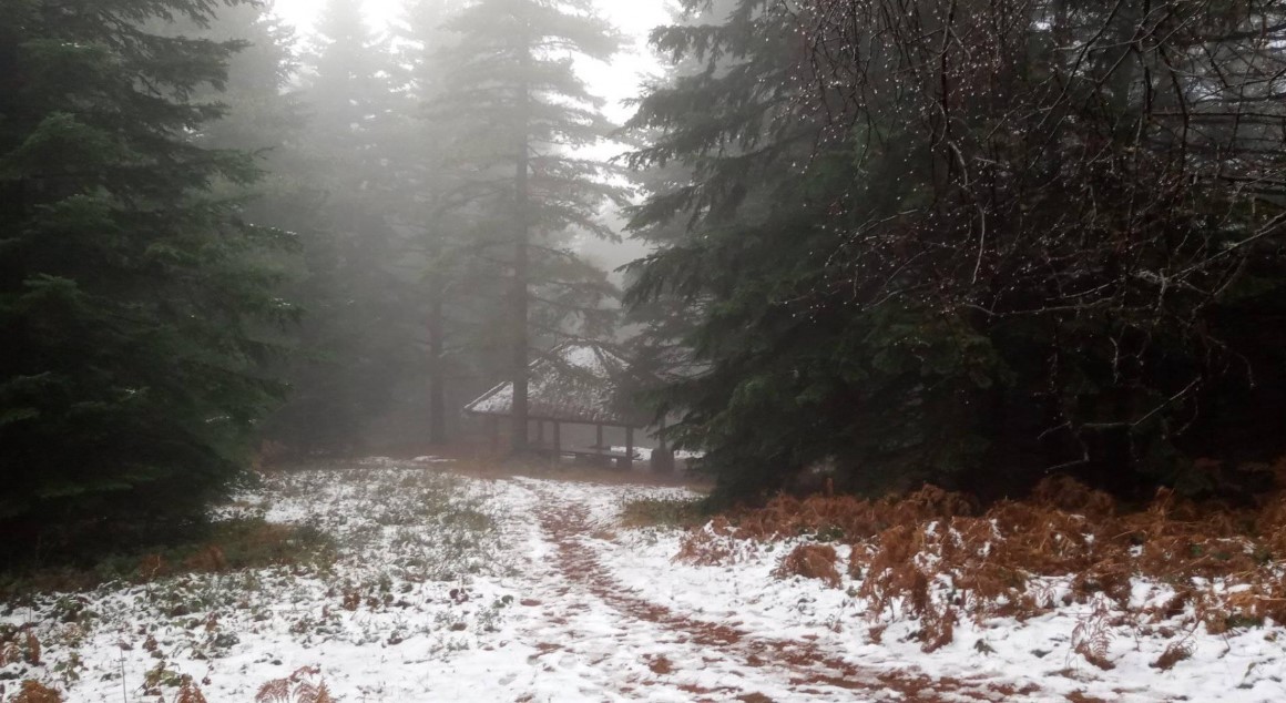 ФОТО: Падна првиот снег на Пелистер