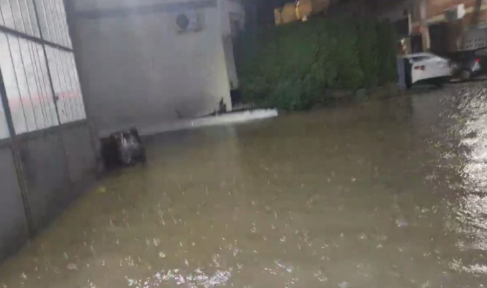 Повторно ПОПЛАВИ ВО ТЕТОВО (ВИДЕО)