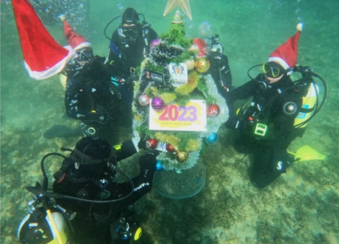 ТРАДИЦИОНАЛНО НАКИТЕНА ЕЛКАТА во Охридско Езеро (ФОТО)