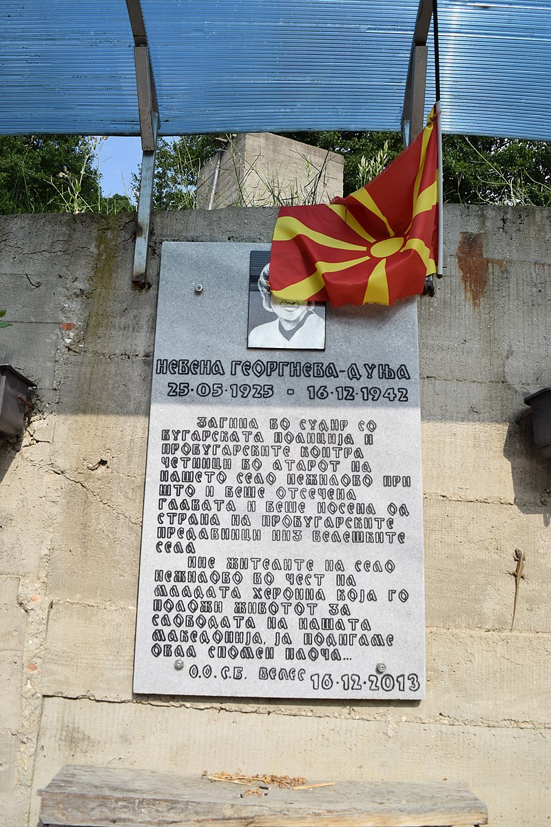 НА ДЕНЕШЕН ДЕН: Младата партизанка Невена Г. Дуња загина во борба со бугарскиот фашистички окупатор за слободна Македонија