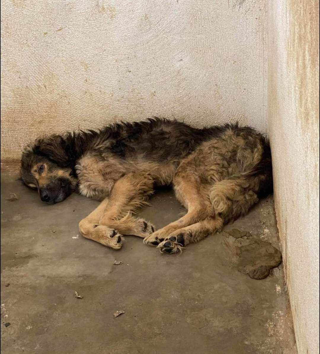 Петрушевска: Со колку раководители ќе се испере и искречи боксов? – Вардариште 2023 (Фото)