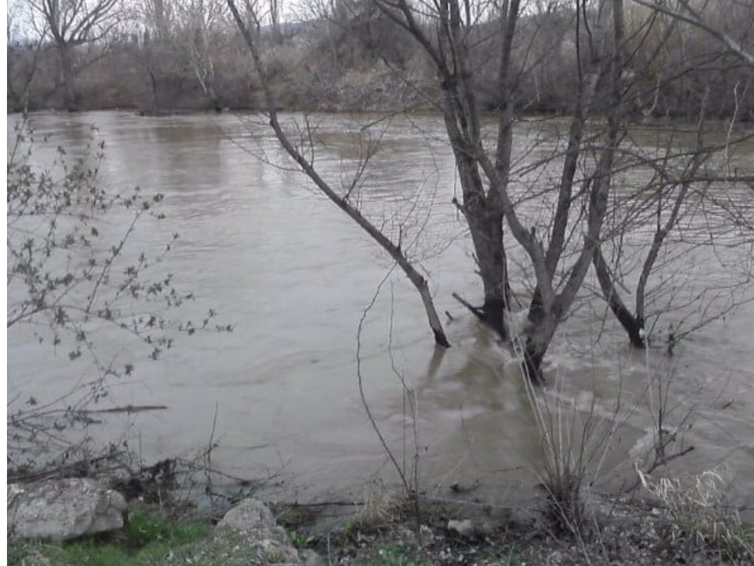 Пронајдено телото на жената што на новогодишната ноќ се фрли во Вардар во Велес