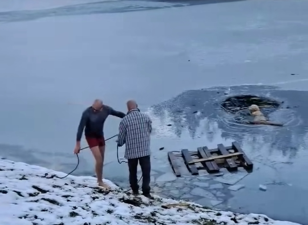 Влезе во замрзнато езеро и го спаси кученцето (Видео)