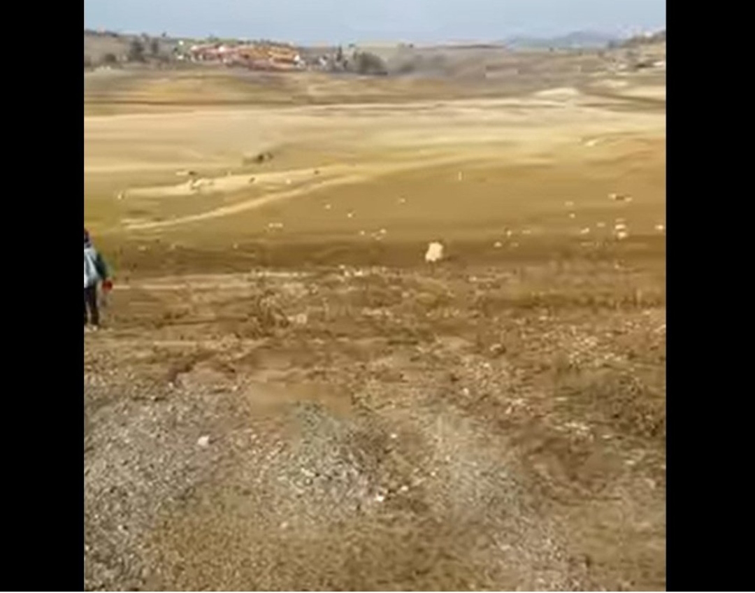 ТИКВЕШКО ПРАЗНО, за ПУСТОШОТ од Електрани велат водата била во рамки на пропишаното (Видео)