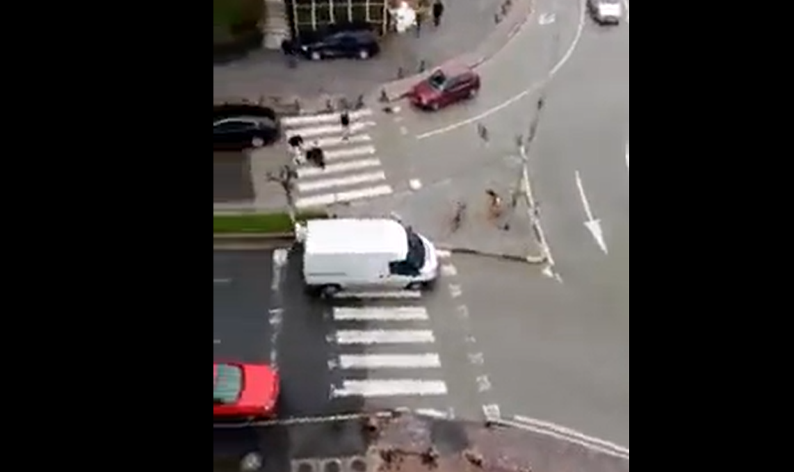 Вознемирувачка снимка од Тетово: Старец нападнат од кучиња, лежи среде улица !