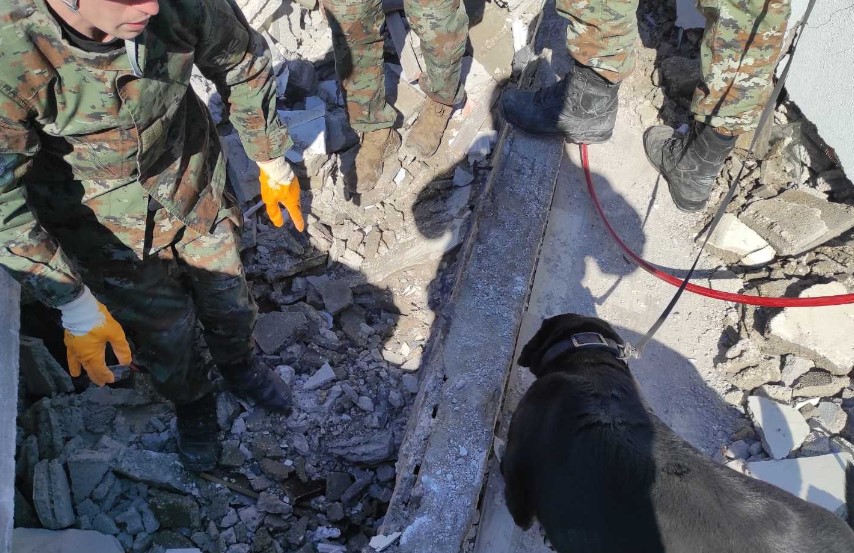 Белгиски овчар и лабрадор им помагаат на нашите војници од АРМ во спасувањето во Турција (Фото)