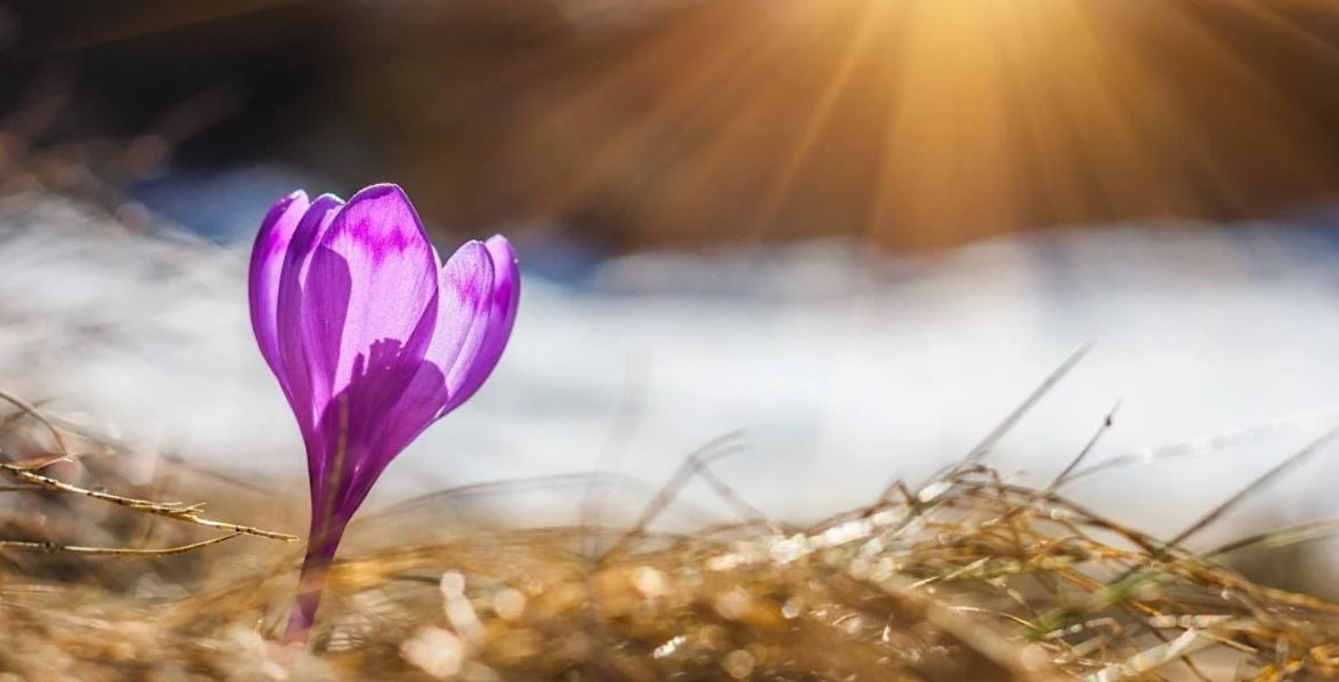 ГОЛЕМ НЕДЕЛЕН ХОРОСКОП – МОЌНИОТ МАРТ носи тектонски промени!