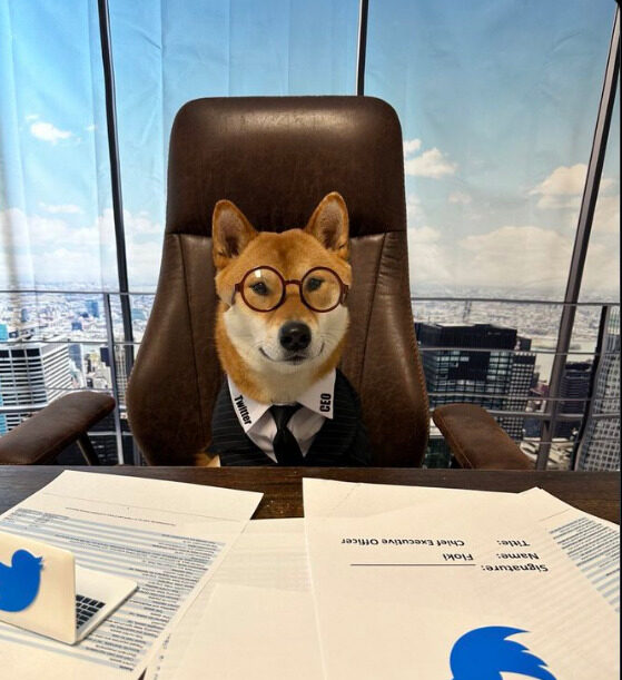 Илон Маск си го постави КУЧЕТО ЗА ДИРЕКТОР НА ТВИТЕР