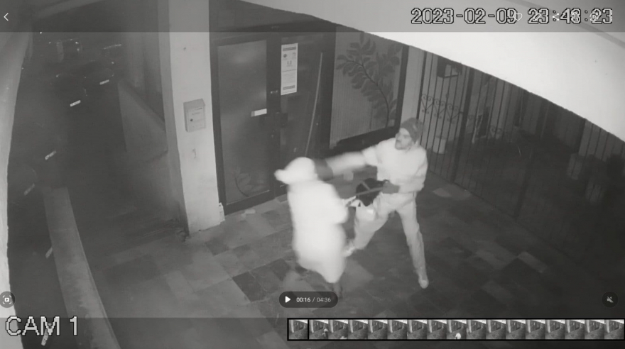 Разбојник претепал скопјанка пред влез на зграда