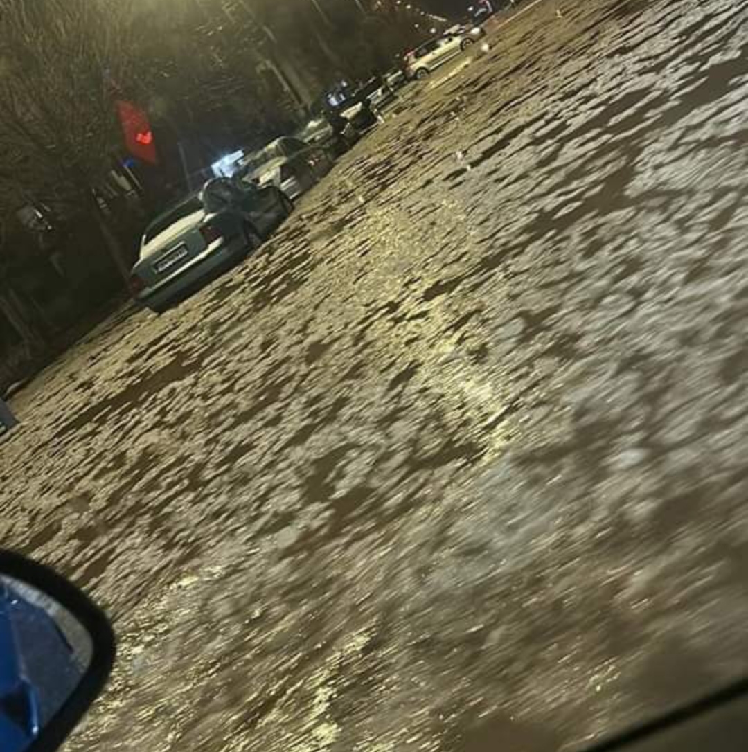 Одиме во ЕУ со фекалиите напред – Струмица вчера се удави во измет (ВИДЕО)