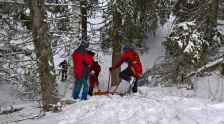 Спасувачите преживеаја НАПАД од МЕЧКА за УСПЕШНО ПРОНАОЃАЊЕ НА 15 ГОДИШНОТО ИЗЧЕЗНАТО ДЕВОЈЧЕ ВО БИХ
