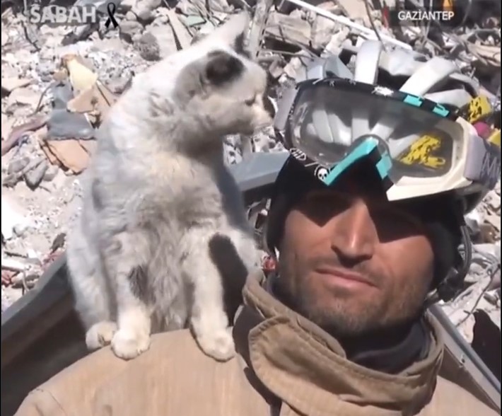 Приказна од урнатините за спасената бела мачка, која го топи срцето на секој спасувач (Видео)