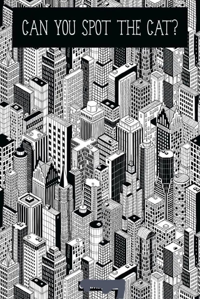 Сликава ги полуде корисниците! – Можете ли да ја пронајдете мачката која вешто се сокрила?