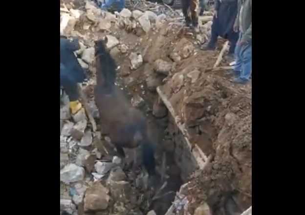 ПРЕЖИВЕАЛ 21 ДЕН ПОД УРНАТИНИТЕ (Видео)