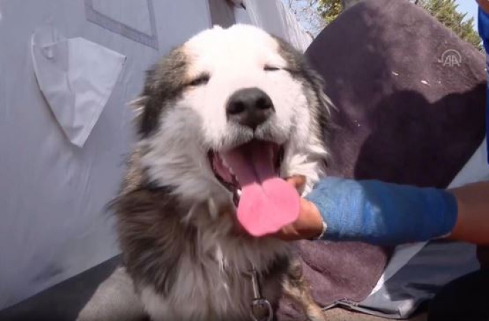 СРЕЌНО КУЧЕ – Преживеа 23 дена под урнатите во Турција (ВИДЕО)