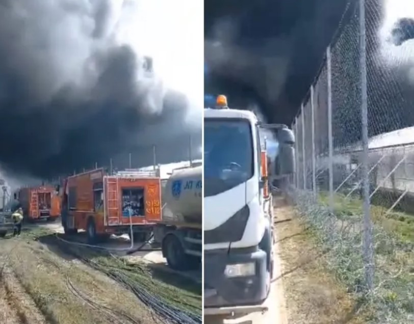 Во пламен фабрика за канабис во Росоман (ВИДЕО)