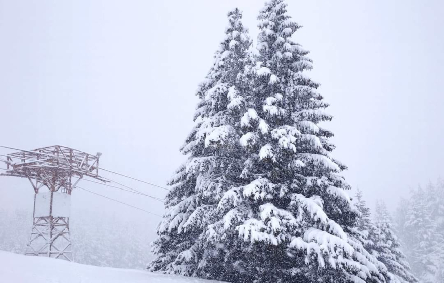 Она кога ќе се МРДНЕШ како ВРЕМЕТО ! (Фото)
