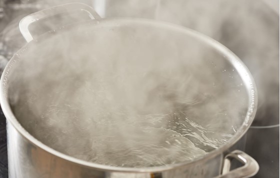 Мајка осомничена дека го полеала детето со врела вода, тригодишното момче починало во страшна агонија