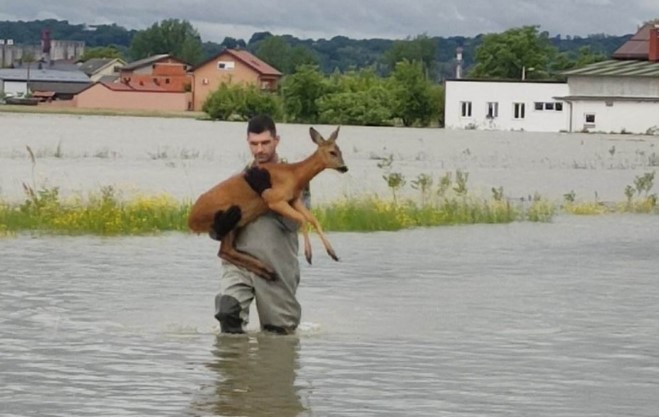 Млад пожарникар ги стопли срцата на Хрватите (Фото)