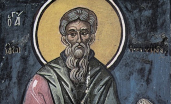 Денеска се празнува Преподобен Теодор Трихин