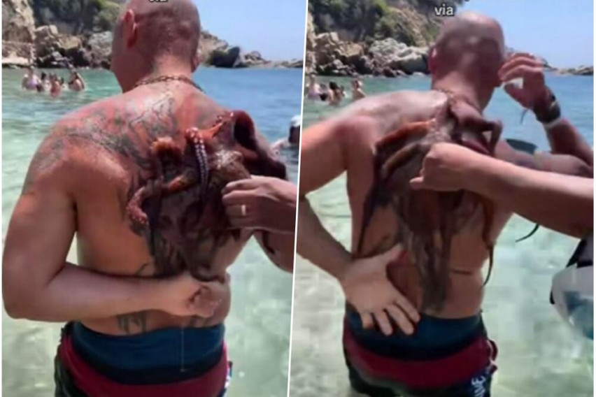 На позната плажа во Грција, Кристијан си пливал во плиткото, а потоа следувала шокантна глетка!