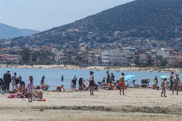 Отсечена човечка глава најдена во кеса за ѓубре!? Хорор во Крит