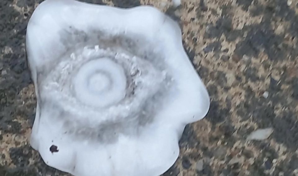 МОРНИЧАВО! Градот што паѓаше во Србија има облик на ЧОВЕЧКО ОКО (Фото)