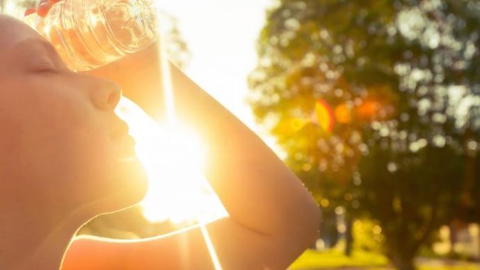 Како да ја препознаете разликата помеѓу топлотен удар и топлотна исцрпеност и да реагирате навреме