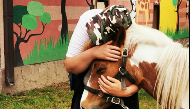 Умре и третиот коњ во скопската Зоолошка